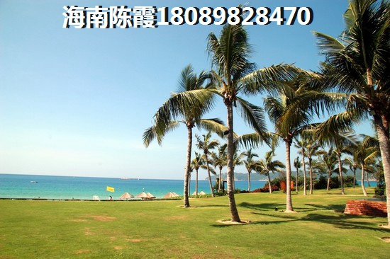 东合逸海郡优势